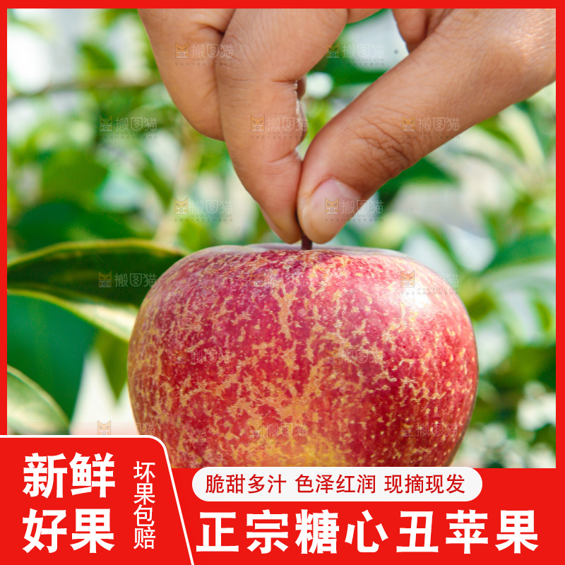 外景糖心苹果