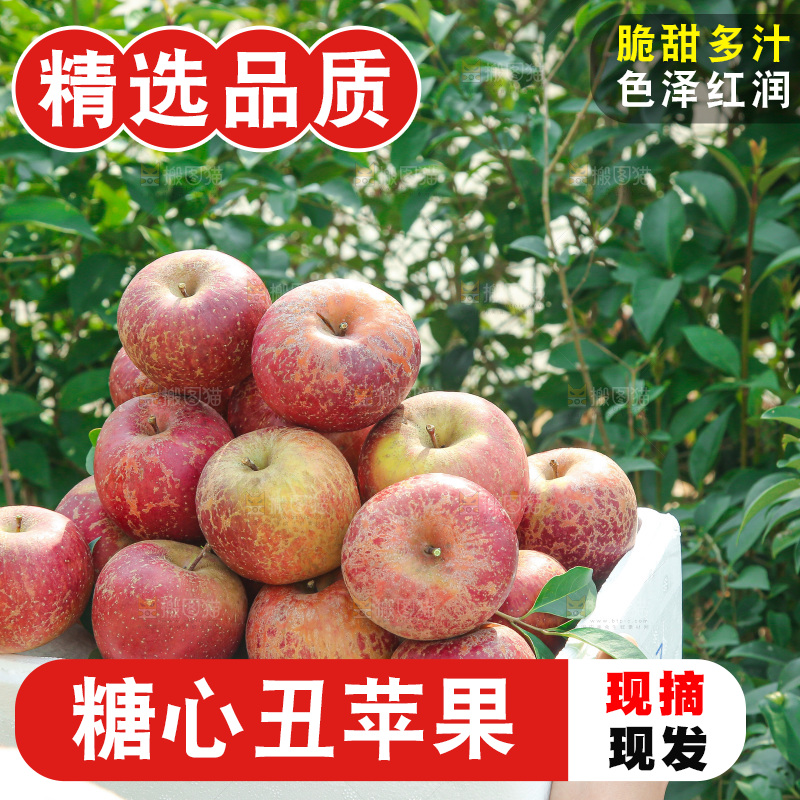 外景糖心苹果