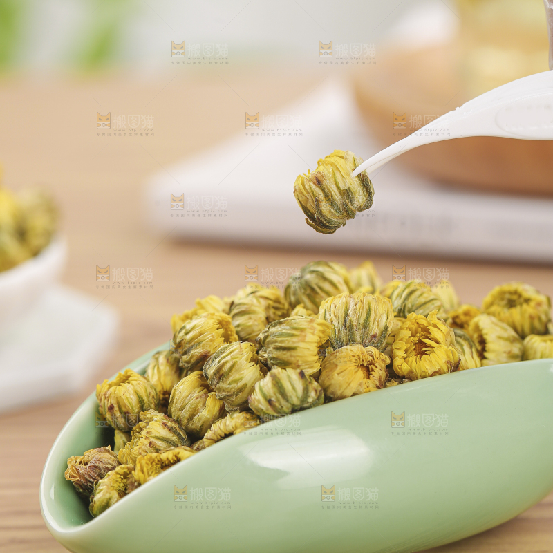 浅底上的胎菊
