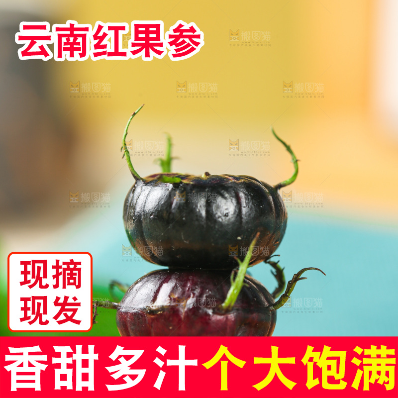 浅底上的红果参