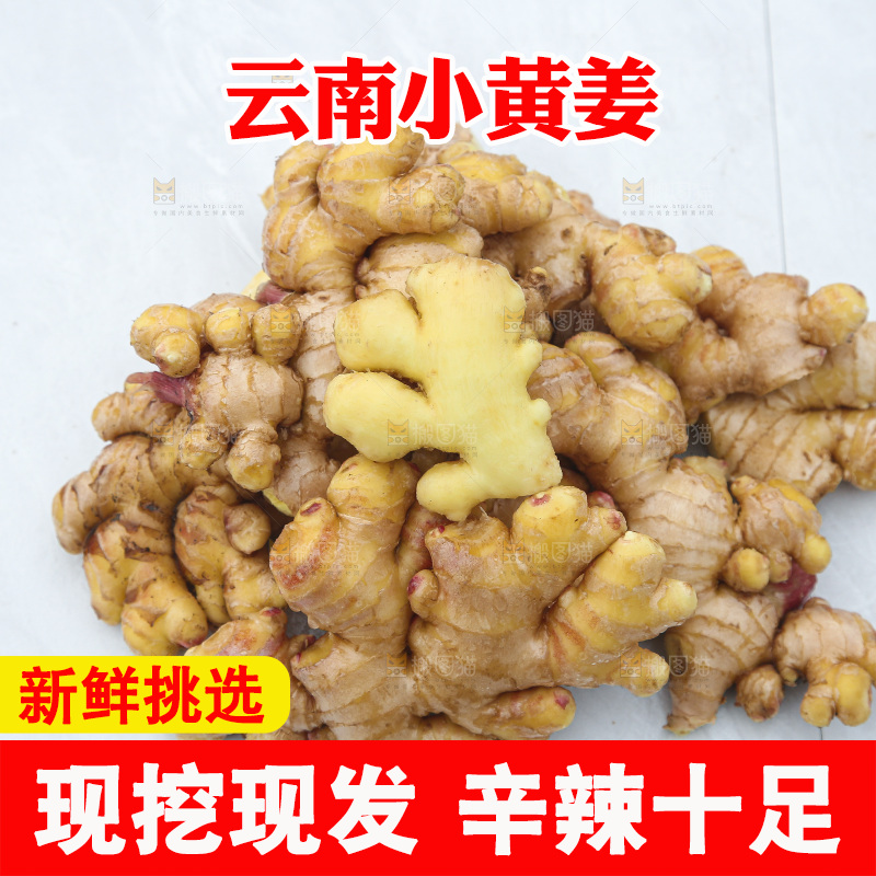 浅底上的小黄姜
