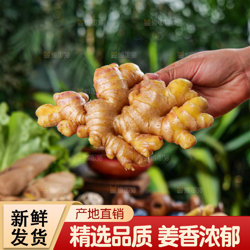 木底上的黄姜沫