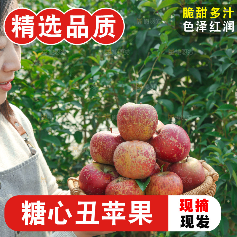 外景糖心苹果