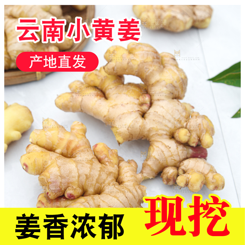 浅底上的小黄姜