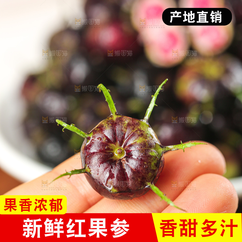 浅底上的红果参