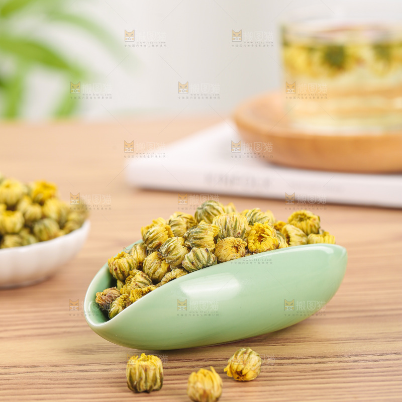 浅底上的胎菊