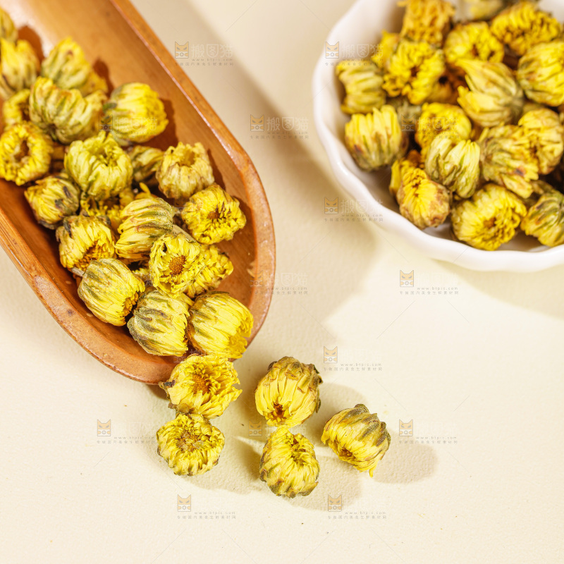 浅底上的胎菊