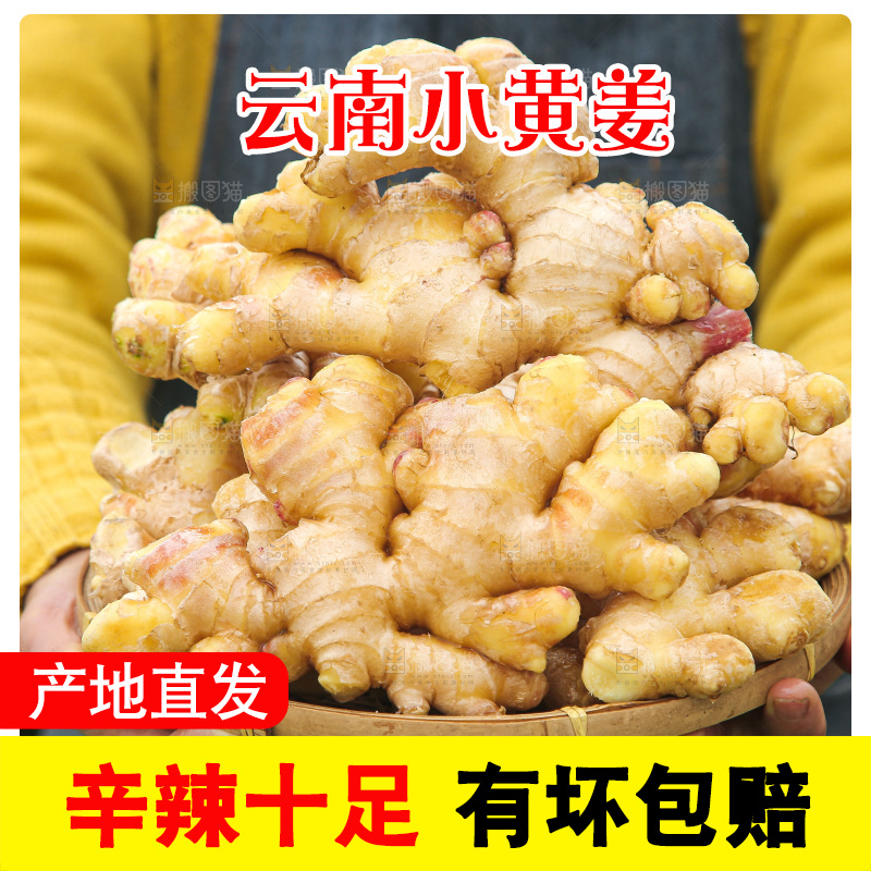 手上拿的小黄姜