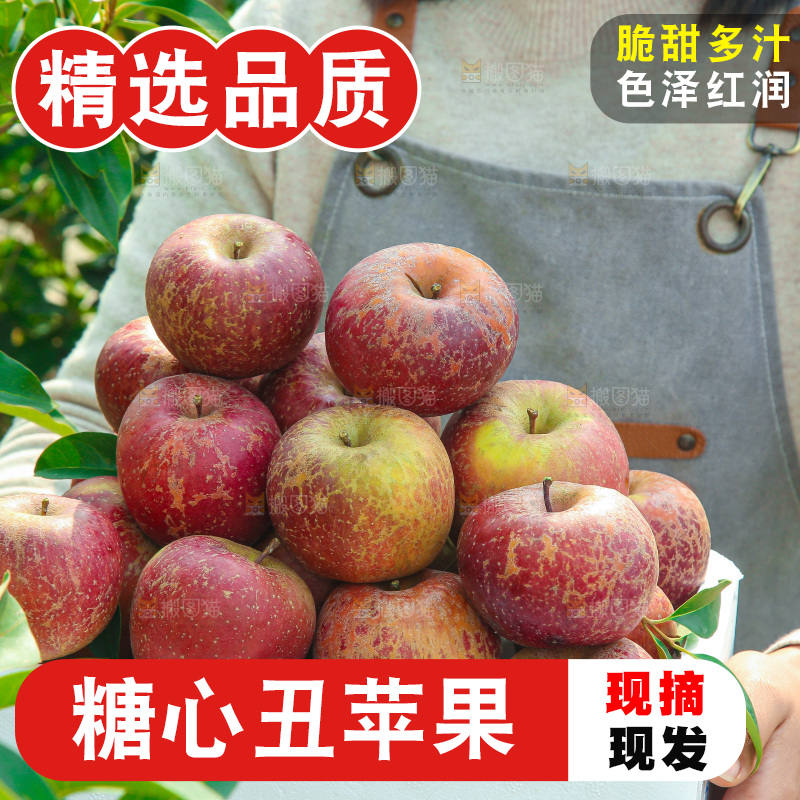 外景糖心苹果