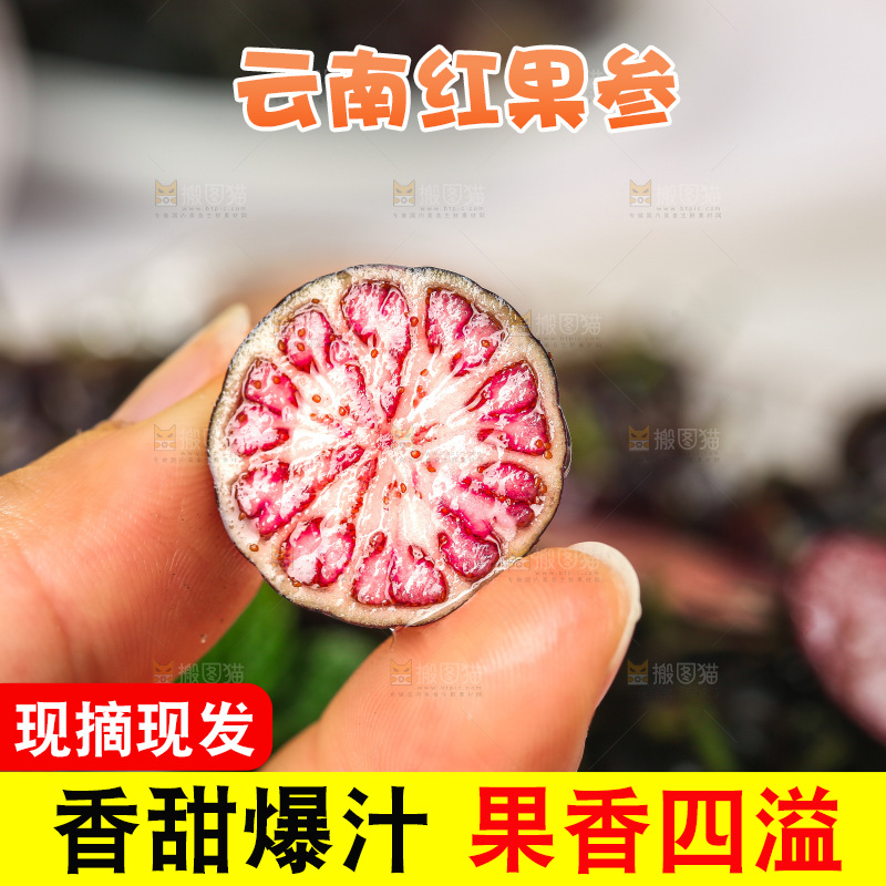 浅底上的红果参