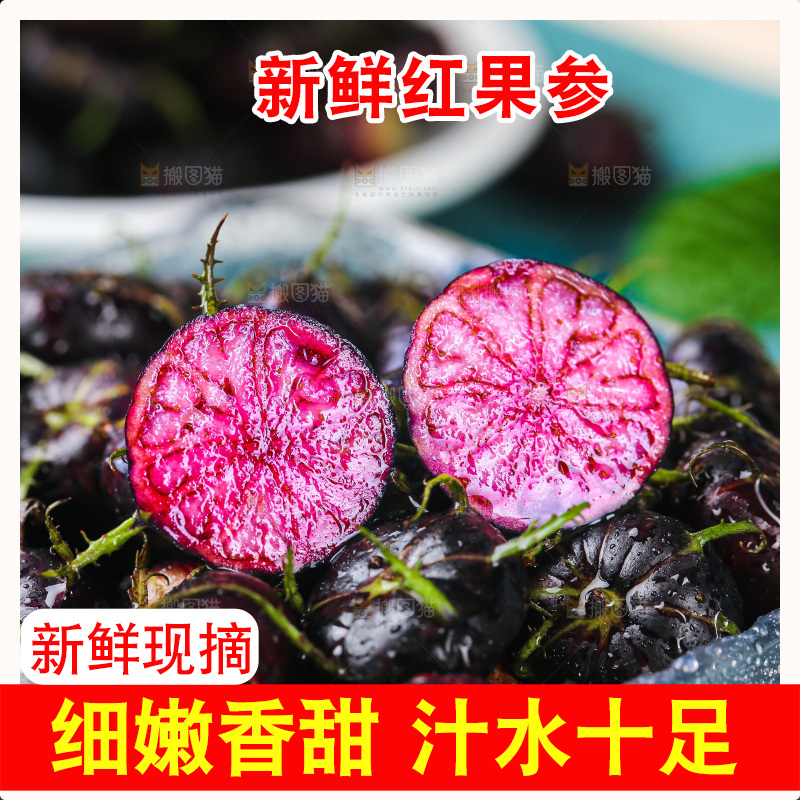 浅底上的红果参
