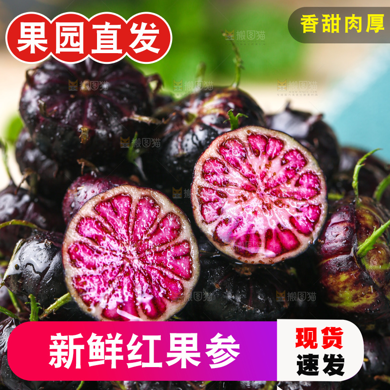浅底上的红果参