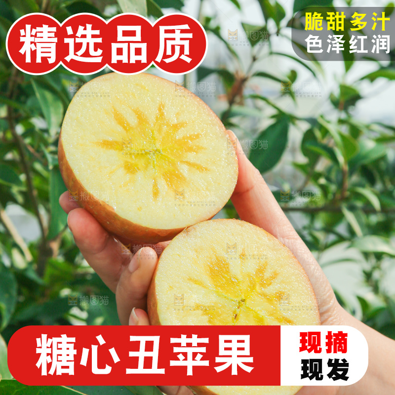 外景糖心苹果
