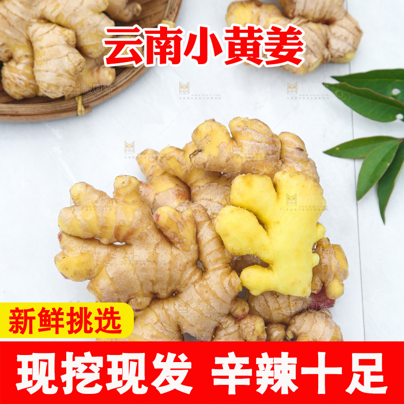 浅底上的小黄姜