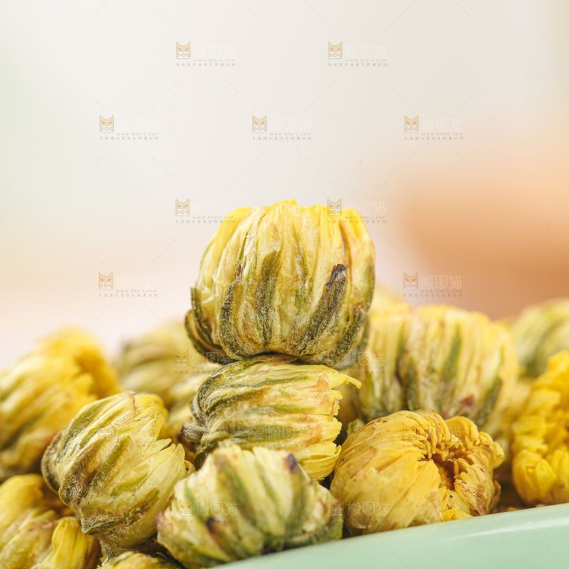 浅底上的胎菊