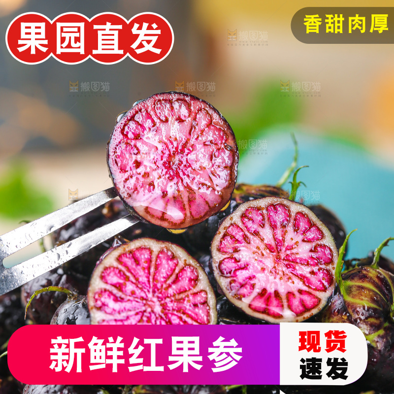 浅底上的红果参