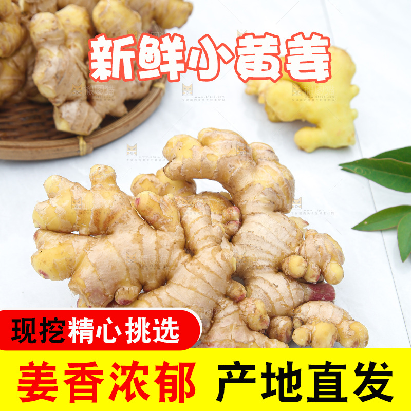 浅底上的小黄姜