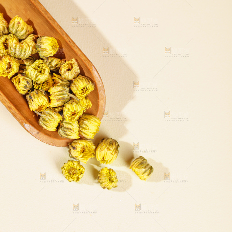 浅底上的胎菊