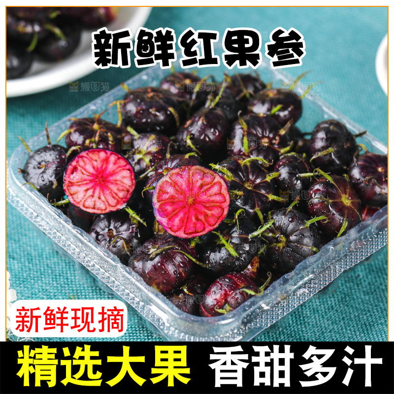 浅底上的红果参