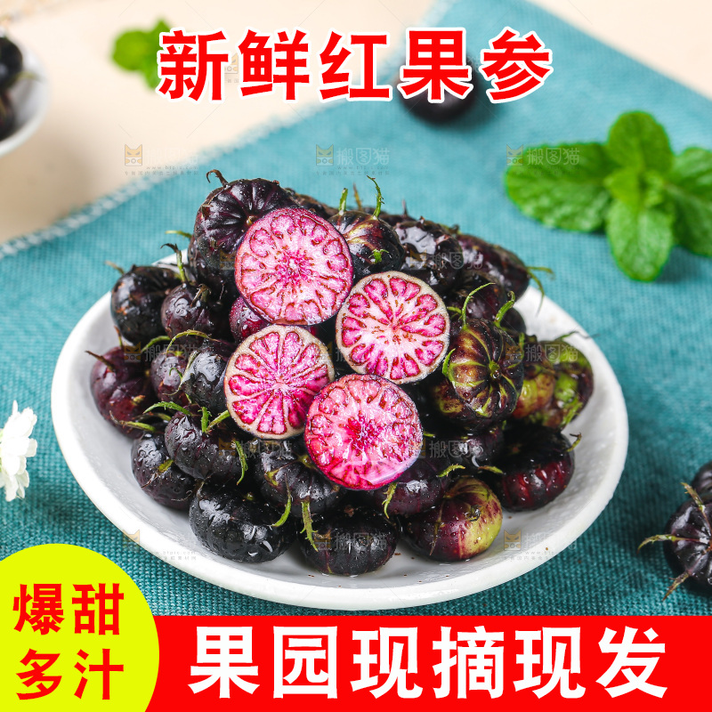 浅底上的红果参