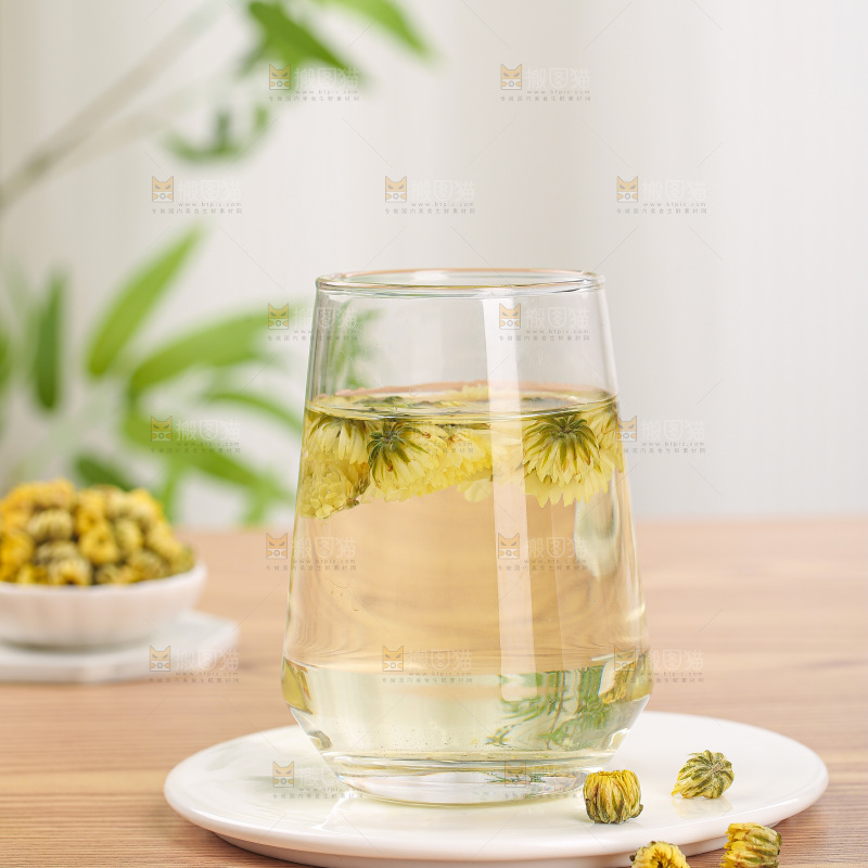 浅底上的胎菊