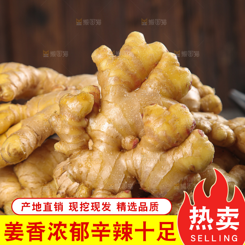 深底上的小黄姜