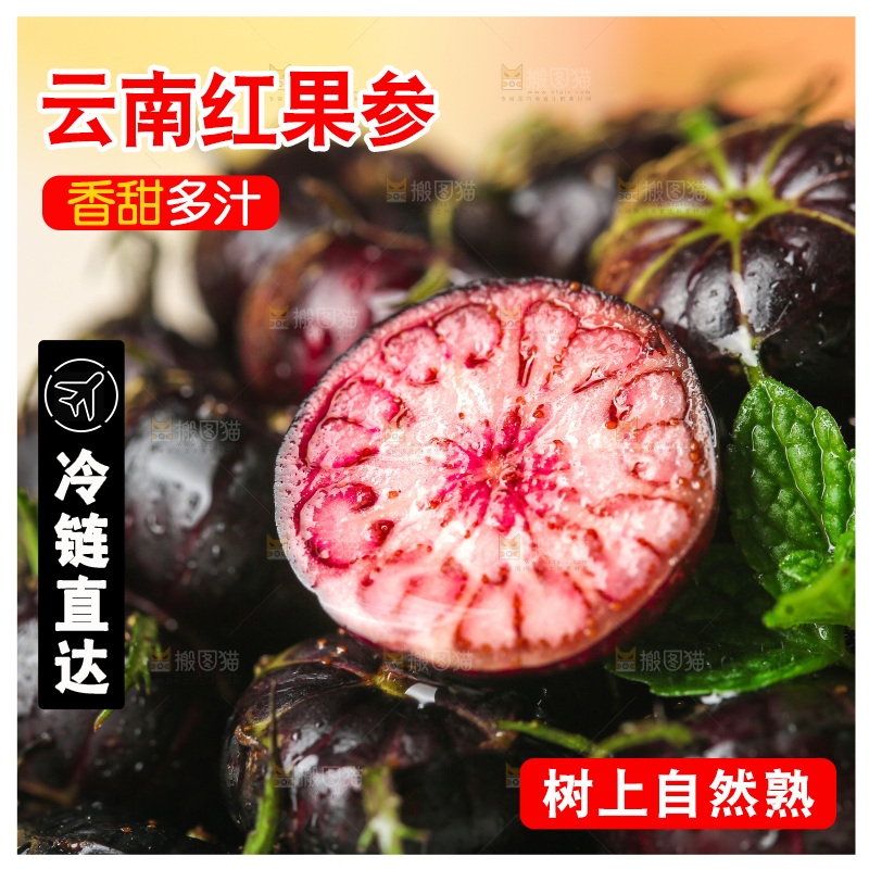 浅底上的红果参