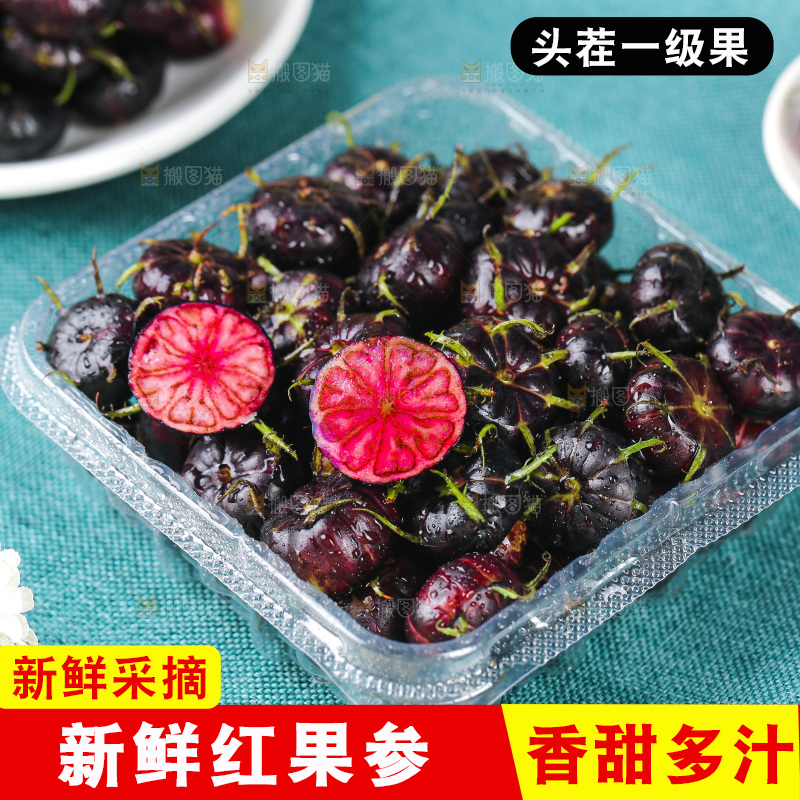 浅底上的红果参