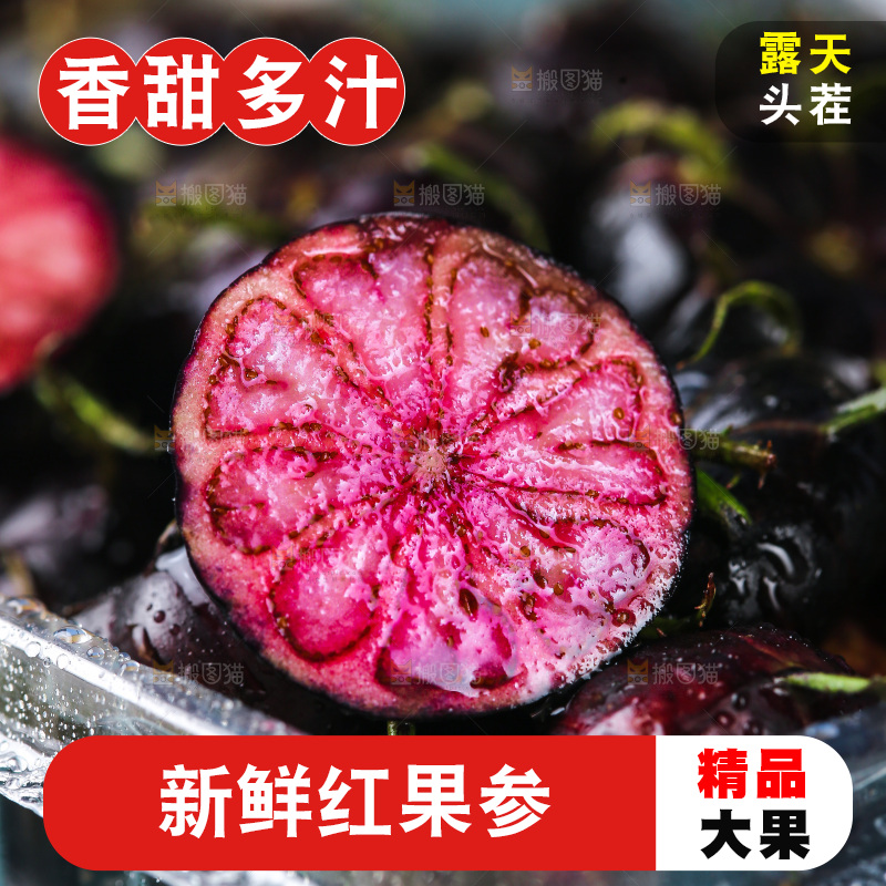 浅底上的红果参