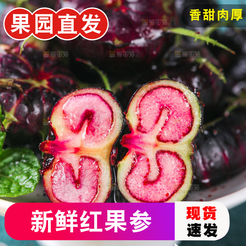 浅底上的红果参
