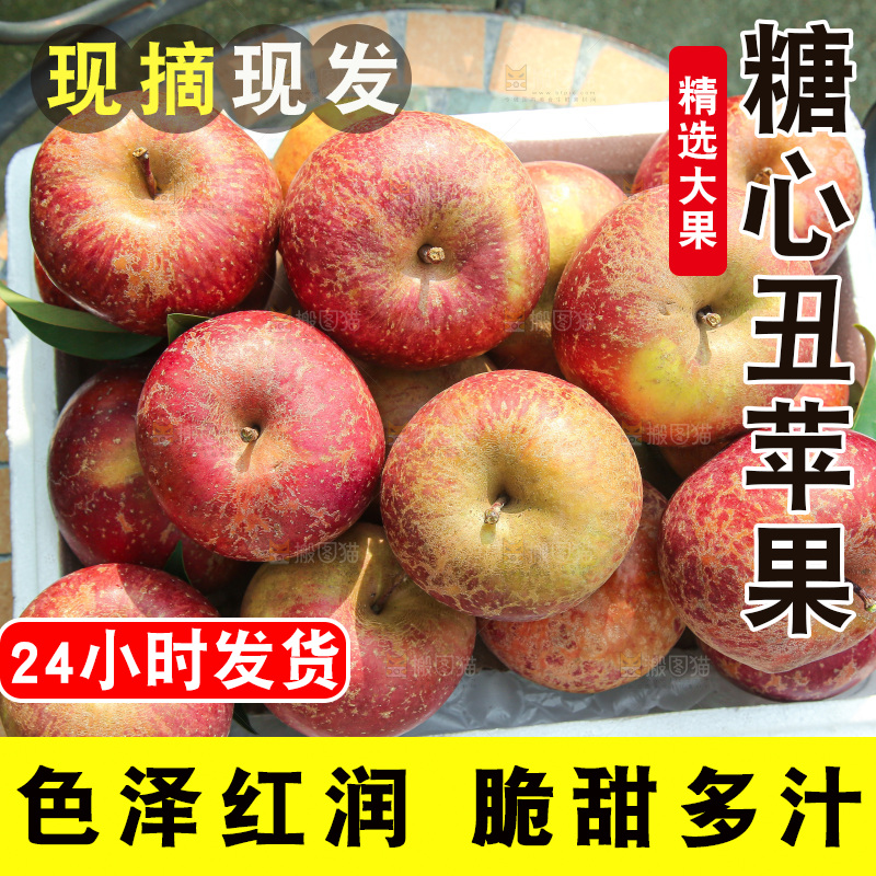 外景糖心苹果