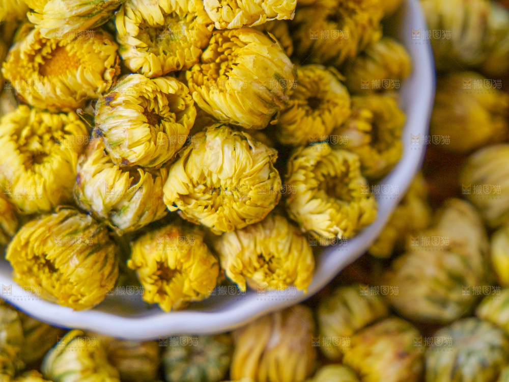 深底上的胎菊