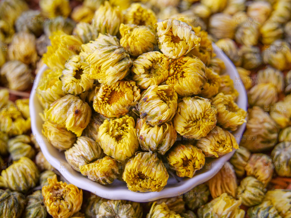 深底上的胎菊