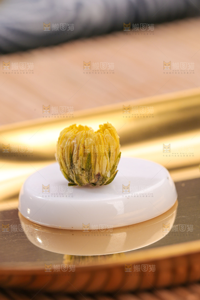 深底上的胎菊