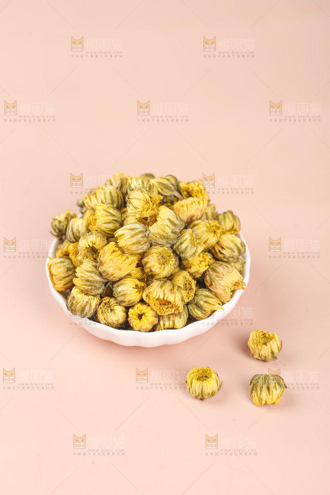 浅底上的胎菊