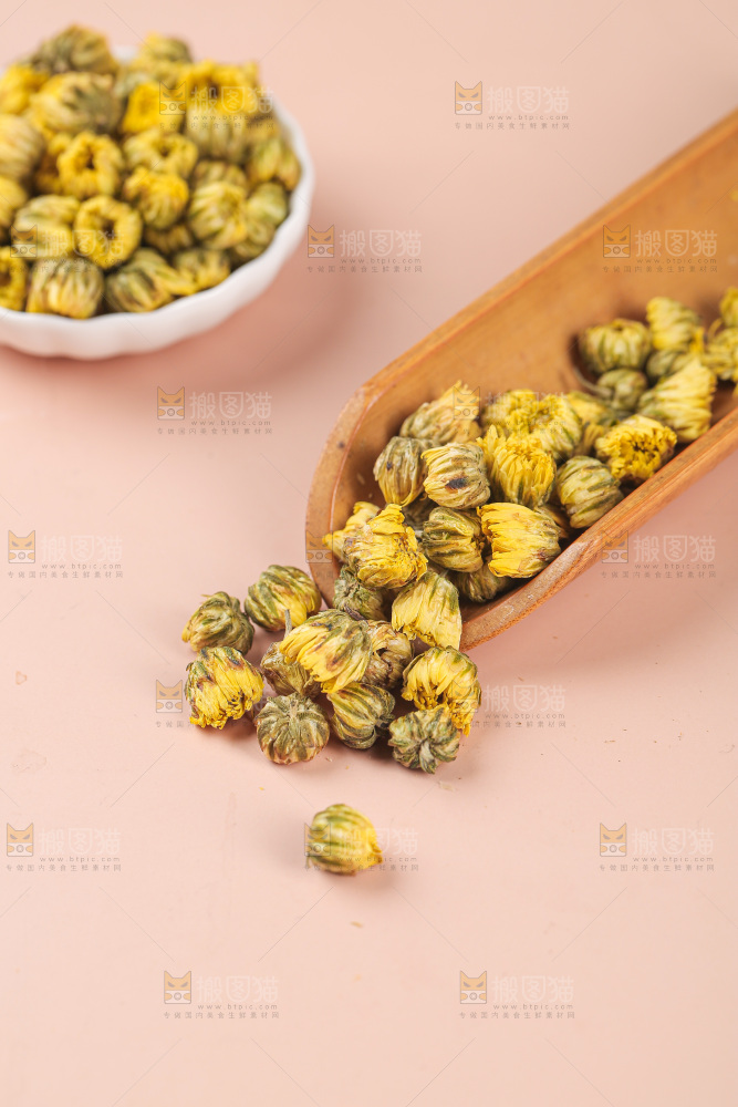 浅底上的胎菊