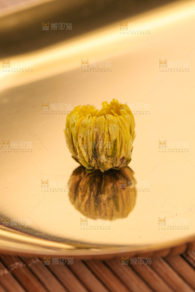 深底上的胎菊