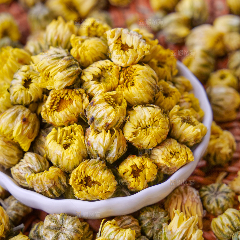 深底上的胎菊