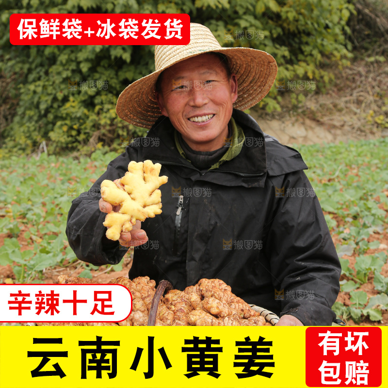 篮子里装着新鲜小黄姜