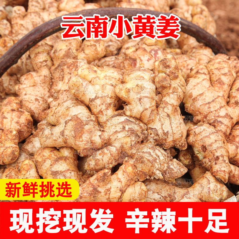 篮子里装着新鲜小黄姜