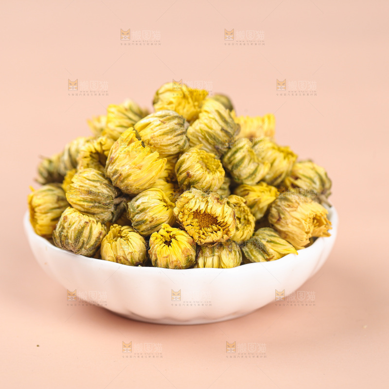 浅底上的胎菊