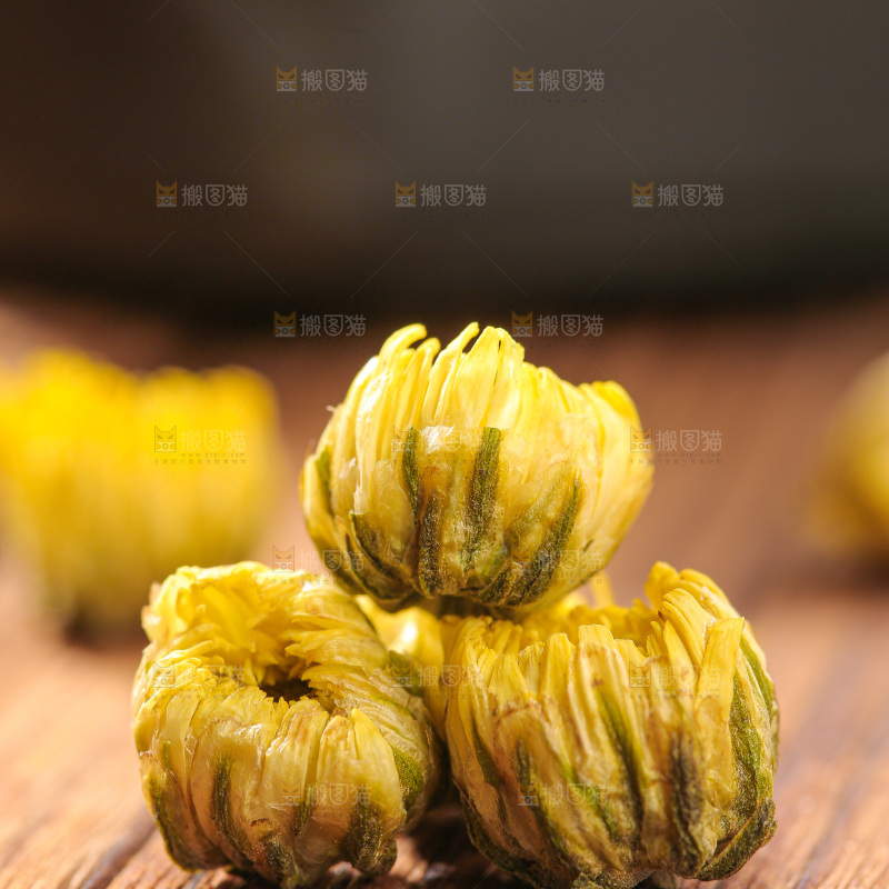 深底上的胎菊