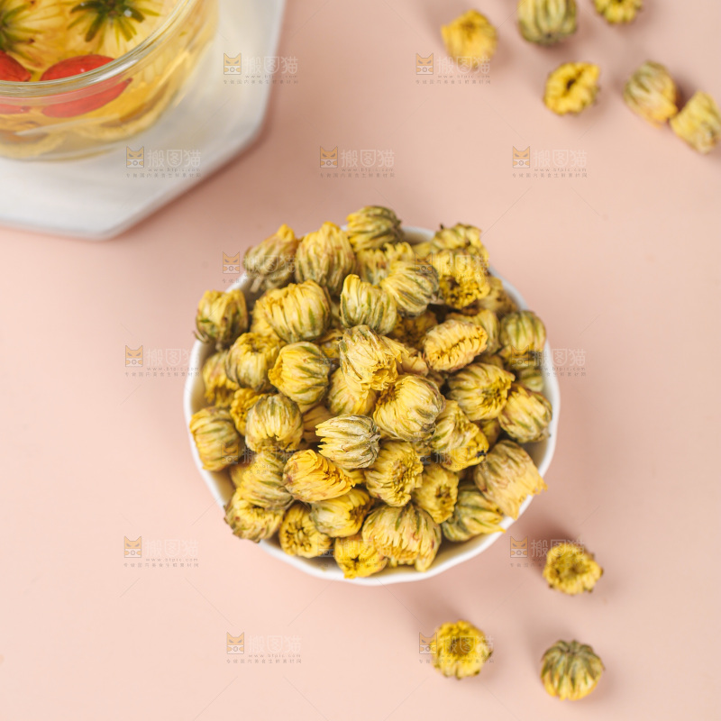 浅底上的胎菊