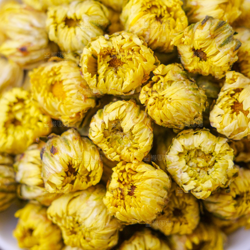 深底上的胎菊