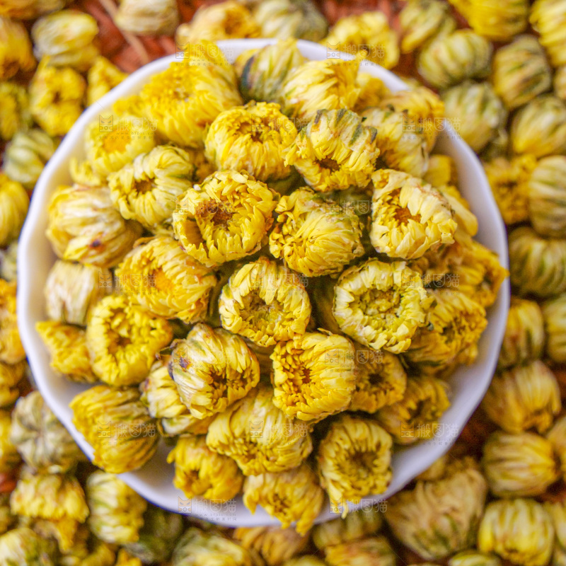 深底上的胎菊