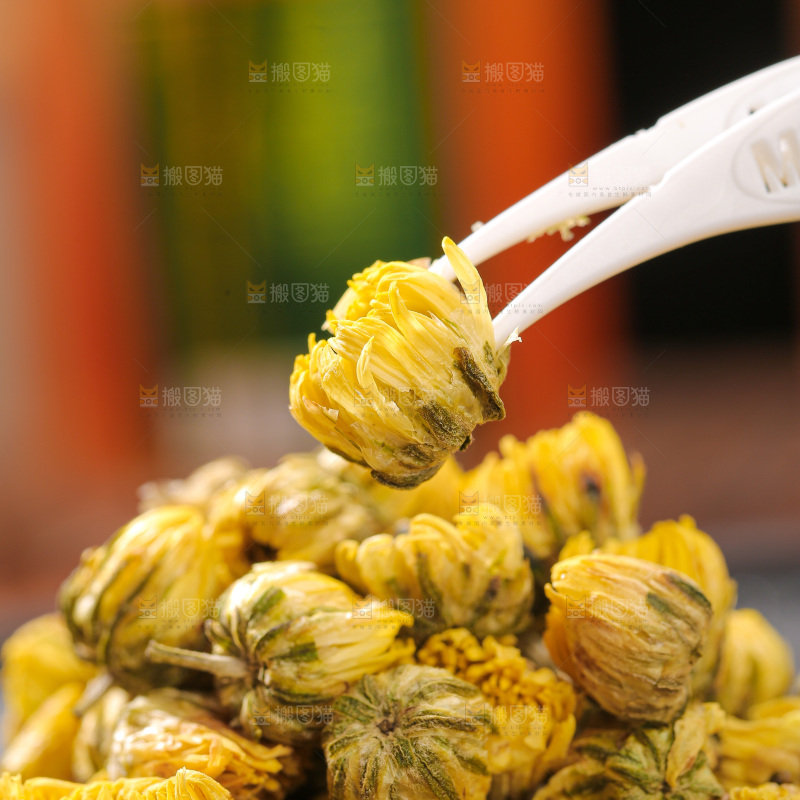 深底上的胎菊