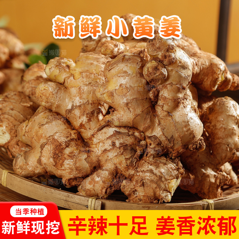 深底上的小黄姜
