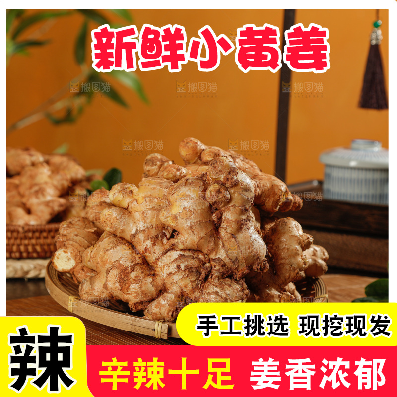 深底上的小黄姜