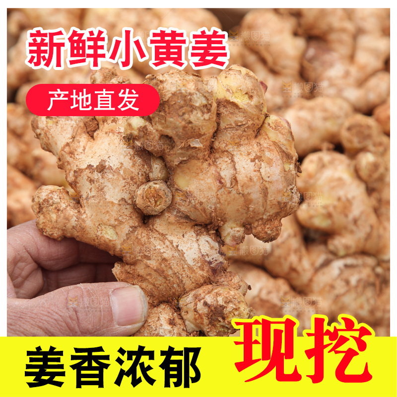 箱子里装着新鲜小黄姜