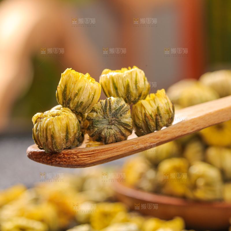 深底上的胎菊